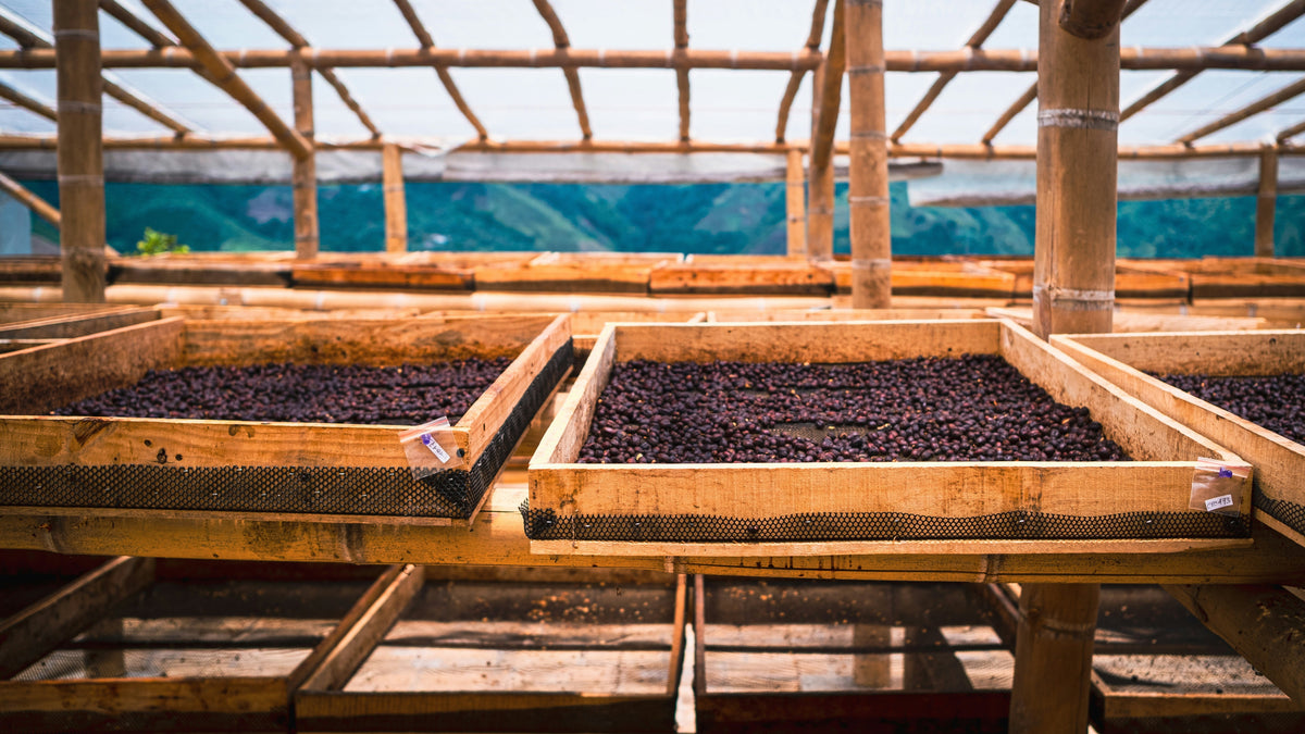 Crafted with intention